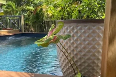 Image de Villa Malanga, coin de paradis!