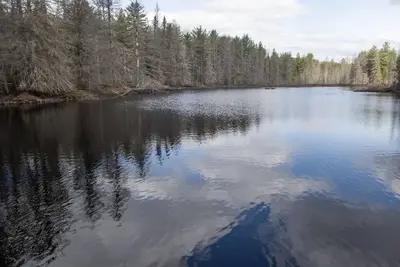 Image de Retreat cottage on your own private 12-acre pond.