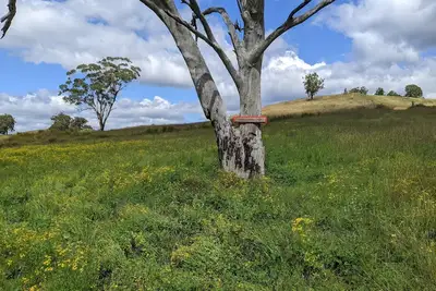 Image de Firetail Cottage in the secluded Capertee Valley