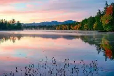 Image de Cozy House!