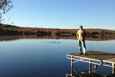 Image de Relaxing Apartment in Dexter