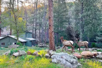 Image de Riverside Hideaway - Luxury Cabin Escape with Scenic Views!