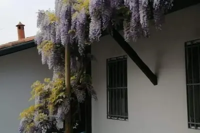 Image de Delightful apartment in courtyard - Rho-Fiera-Mind