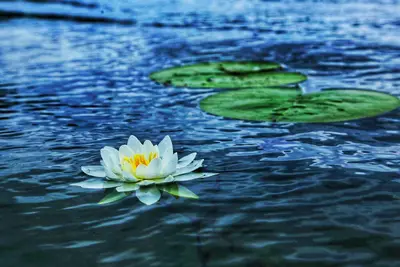 Image de Serenity Bay!