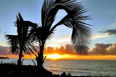 Image de Tropical Garden Getaway