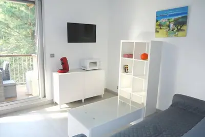 Image de Bel appartement 2 pièces climatisé 500m centre