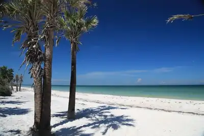 Image de 🌴 Boho Chic w\/ King suite, close to Clearwater Beach, Honeymoon Island, Pets Ok