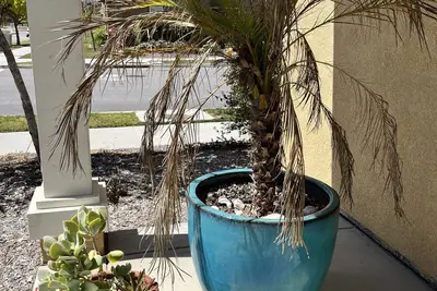 Image de Casa Paradisus