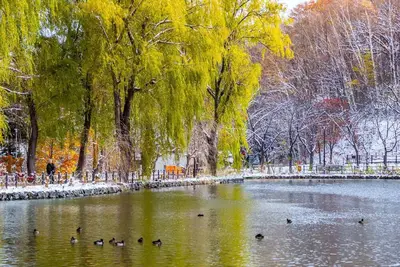 Image de The SUNVacation rental house  A car can be parked in the garage  4 bedrooms  Max 11 people - The Sun \/ Sapporo Hokkaidō