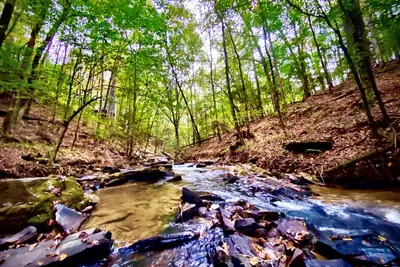 Image de Secluded cozy & lux cabin w/ New hot tub, firepit and creek