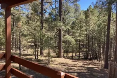 Image de Trout Springs Cabin #4