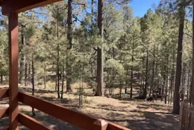 Image de Cozy 2 Bedroom Cabin #3