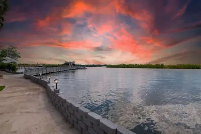 Image de Waterfront Paradise on Tampa Bay w/Pool