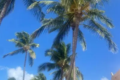 Image de Aruba One Happy Island House- minutes from the beach, your home away from home!