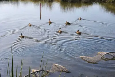 Image de Dream retreat! Escape, Relax and Rejuvenate.