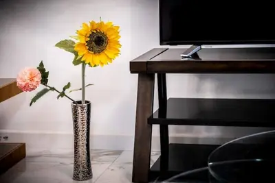 Image de Luxury Four Bedroom Houses