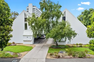 Image de The Warbling Magpie