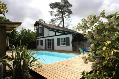 Image de Le Pin Maritime - Andernos Les Bains