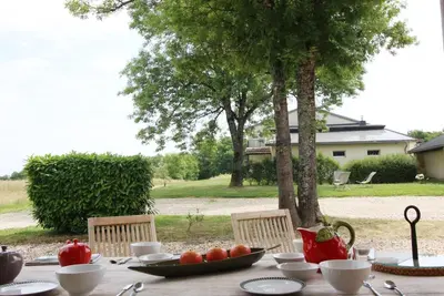 Image de Château Malfard - Petit Verdot