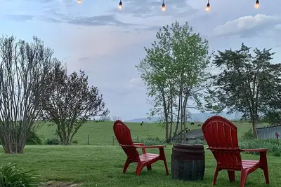 Image de Pigs and A Blanket