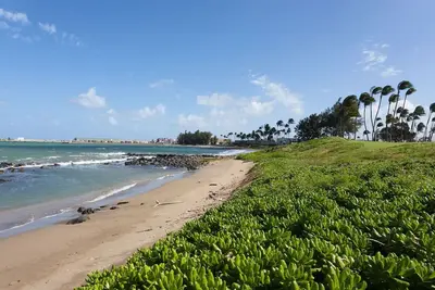 Image de Charming 4 Rooms Steps from the Beach w/ Poolside Drinks Lounge | Pet-friendly