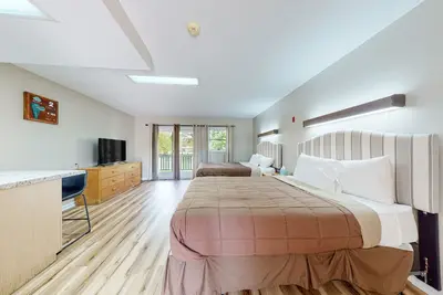 Image de Dog-friendly studio with peaceful views, game room & gym - walk to Douglas Lake