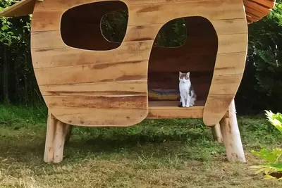 Image de Maison Landaise Avec Jardin et Piscine
