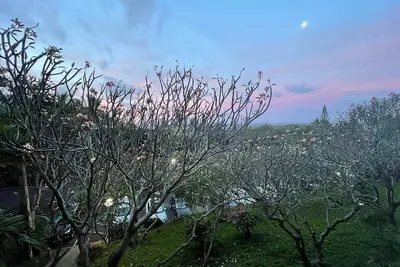 Makaha Towers 1 Bedroom Condo