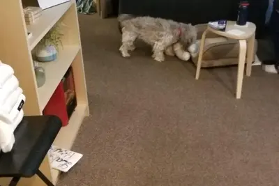 Image de Condo across street from beach