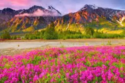 Image de Cozy Spacious Home near Downtown Indy for Indy 500/GenCon