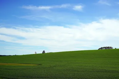 Image de Cozy private cottage with picturesque scenery