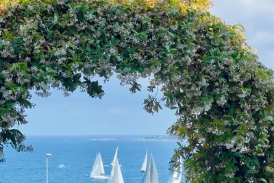 Image de Eden Sea Cannes Stunning Sea Views Cozy Villa
