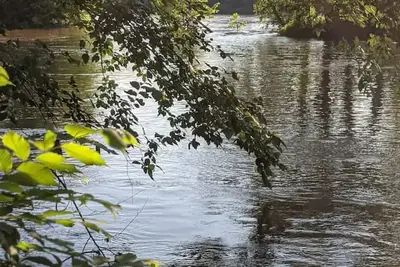 Image de James River Cottage with 2 Kayaks