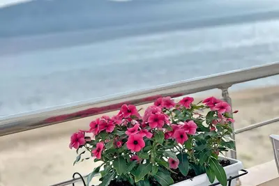Image de SeaView Apartments Rental Vlore