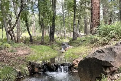 Bonita Creek Cabin