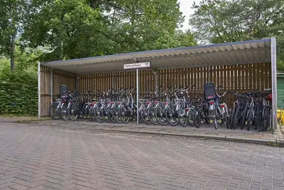 Image de Forest Feel