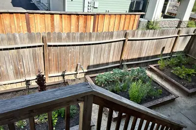 Image de Beautiful House with Amazing Backyard in the Heart of Downtown Napa!