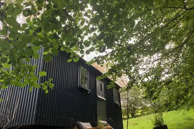 Image de Cornwall Woodland Dog Friendly Shepherd's Hut