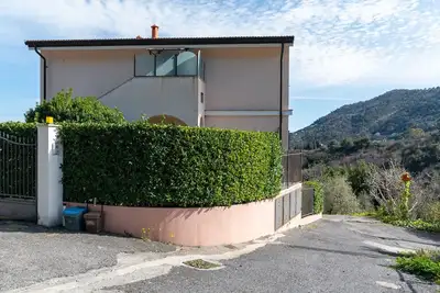 Image de Cecilia's Olive Tree