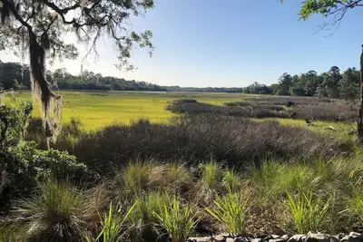 Shellman Bluff Ga & Harris Neck 0. 5mi. Bird Nest Your perfect Nest & Marsh View