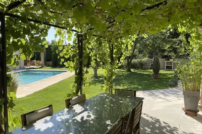 Image de Les Oliviers en Provence