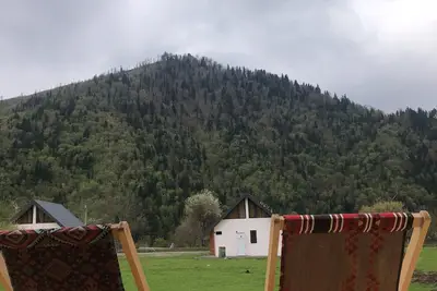 Image de Cozy Hills in Borjomi