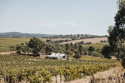 Image de Vineview Cottage- A Farmhouse Cottage set on a Riesling Vineyard. Near Wineries!