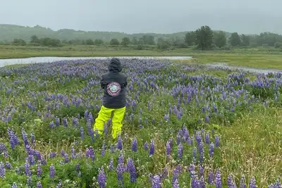 Image de Saltery Adventures Remote Loft Cabin