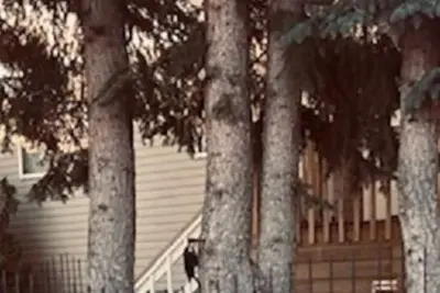 Image de Gypsywind-Edmonton