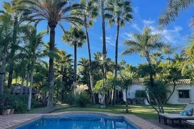 Villa in a palm tree plantation