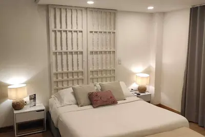 Image de Luxury Duplex Loft Near Getsemaní / Old City101