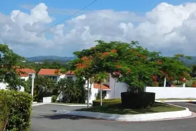 Image de Villa Amelita is a cozy, breezy & tropical haven