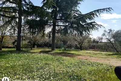 Image de Panoramic Villa