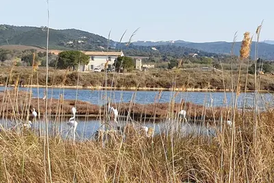 Image de Les Salins - Rez de Jardin-Plage/Clim/Wifi/Parking